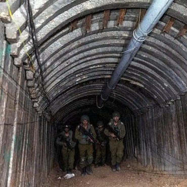 Anjing Perang Tentara Israel Tewas Diduga Dibunuh Anjing Besar Milik Hamas