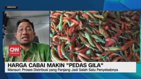 VIDEO: Harga Cabai Makin 