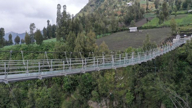 Jembatan Kaca Seruni Point yang digadang-gadang menjadi atraksi baru di kawasan wisata Gunung Bromo hingga kini belum dapat dinikmati wisatawan.