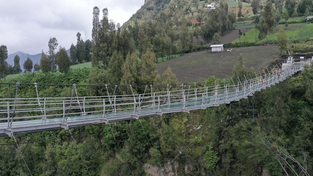 Ini Penyebab Jembatan Kaca Seruni Point di Bromo Tak Kunjung Dibuka