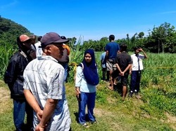 Mayat Pria Pakai Helm Ditemukan di Kebun Tebu Bondowoso