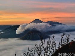 Viral Cewek Bule Nyaris Dilecehkan saat Kemping di Bromo, Ini Kisahnya