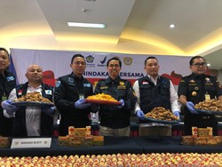 Penyelundupan 53 Kg Sisik Trenggiling Terungkap di Bea Cukai Soetta