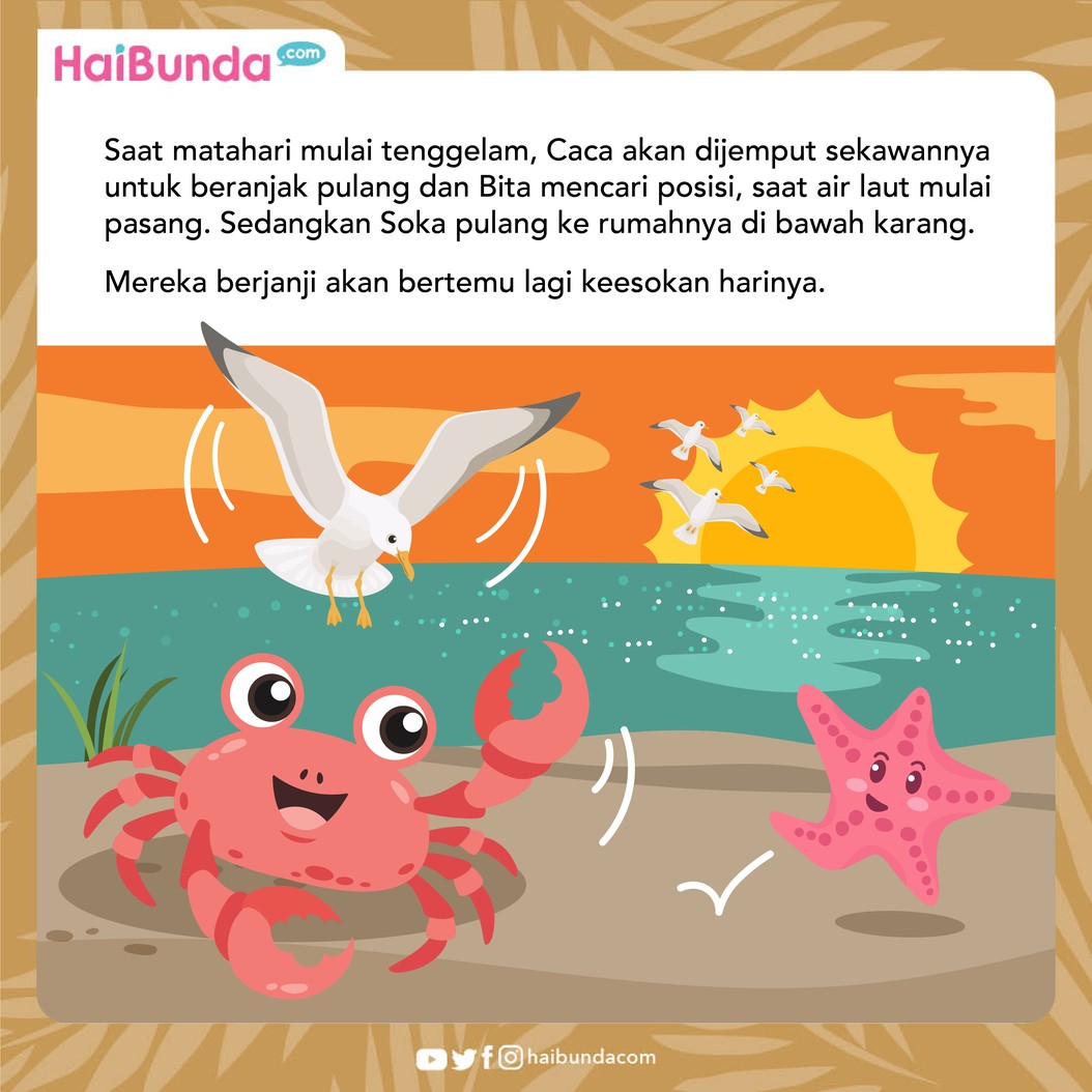 Cerita Fabel Kepiting