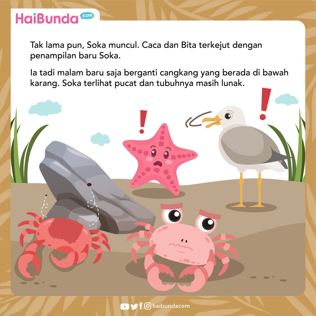 Cerita Fabel Kepiting