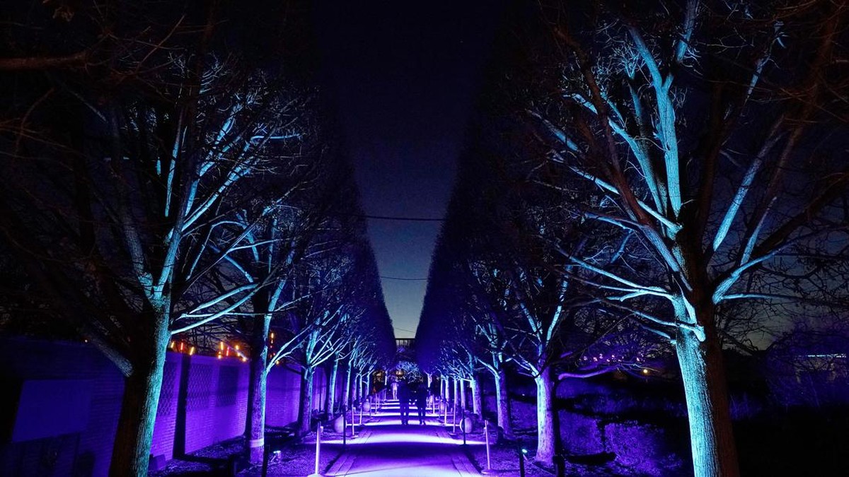 Yuck Intip  Keindahan Warna-warni Cahaya di Chicago Botanical Garden Yang Memukau