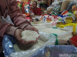 Harga Beras Masih Tinggi, Perpadi Jateng: Petani Happy, Tapi...