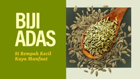 INFOGRAFIS: Biji Adas, Si Rempah Kecil Kaya Manfaat
