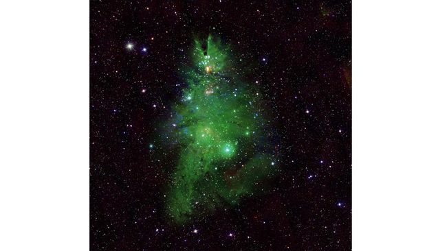 NASA Discovers Christmas Tree Cluster in Galaxy Far, Far Away – See Its Beauty