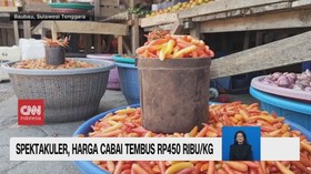 VIDEO: Spektakuler, Harga Cabai Tembus Rp450 Ribu,Kg