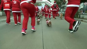 VIDEO: Serunya Lomba Lari Menyambut Natal di Amerika Latin