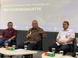 Bos Bulog Pastikan RI Impor Beras 2 Juta Ton di 2024