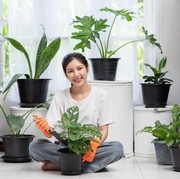 4 Tips DIY untuk Membuat Taman Indoor, Bikin Suasana Rumah Auto Sejuk!