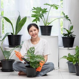4 Tips DIY untuk Membuat Taman Indoor, Bikin Suasana Rumah Auto Sejuk!