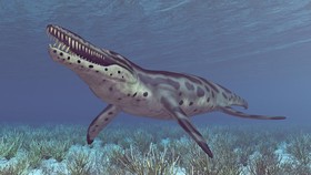 Fosil 'Naga Biru' Ditemukan di Jepang, Speknya Mengejutkan Pakar