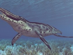 Wakayama Soryu, Monster Asal Jepang yang Teror Lautan 72 Juta Tahun Lalu