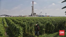 Pertamina Temukan Harta Karun Terbesar, Ini Lokasinya