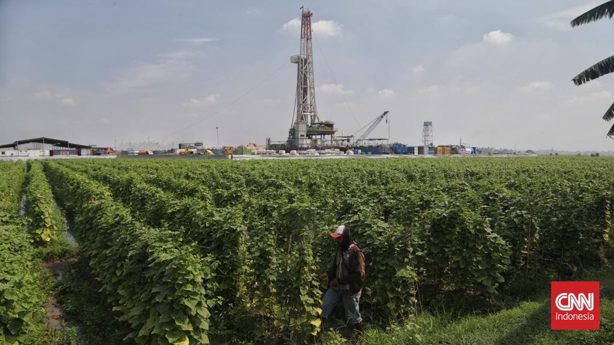 Pertamina Temukan Harta Karun Terbesar, Ini Lokasinya