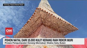 VIDEO: Pohon Natal Tidak Biasa, Raih Rekor MURI!
