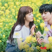 Seru Banget, 5 Drakor Ini Hadirkan Kisah Selebriti yang Jatuh Cinta dengan Non-selebriti