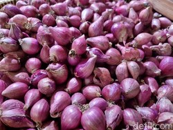 Harga Bahan Pokok Jogja Hari Ini 16 Januari 2024: Bawang Merah Jadi Rp 24 Ribu