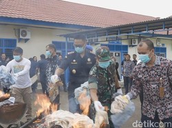 Bea Cukai Jambi Musnahkan 5 Juta Batang Rokok Ilegal, Negara Dirugikan Rp 2,5 M