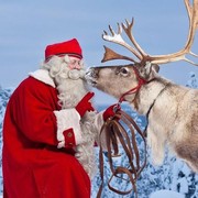 Ini Dia Asal-Usul Rusa Santa Claus, Beneran Ada di Kutub Utara?