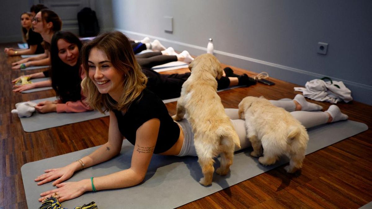 Puppy Yoga, Tren Baru di Paris Relaksasi Bareng Anak Anjing  