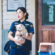 Rekomendasi 6 Film dan Drama Korea yang Cocok Para Pencinta Hewan