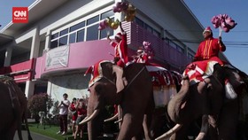 VIDEO: Gajah-gajah Sinterklas Bawa Keceriaan Natal di Sekolah Thailand