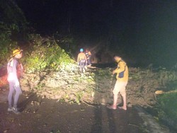 Longsor Tutup Akses Jalan Lintas di Madina, 3 Mobil-2 Motor Sempat Terjebak
