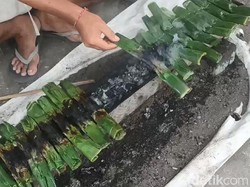 Lempet Kakia, Pepes Langka dari Hiu yang Tersangkut di Jaring Nelayan