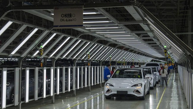 Saat ini, BYD mengembangkan beberapa produk, seperti railway train, baterai, kendaraan elektrik atau New Energy Vehicle (NEV), serta teknologi energi baru.