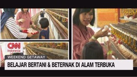VIDEO: Wisata Edukasi di Alam Terbuka