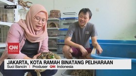 VIDEO: Ada 
