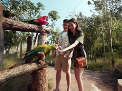Mencari Spot Nge-date di Singapura? Coba ke 4 Taman Margasatwa Ini Yuk!