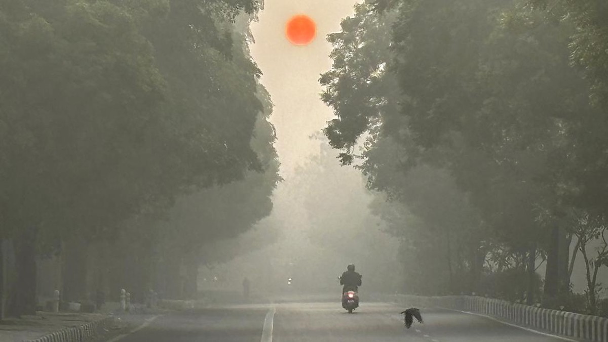 FOTO: Kabut Tebal Selimuti Kota New Delhi