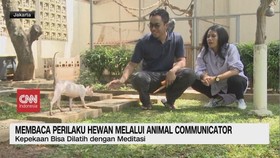 VIDEO: Membaca Perilaku Hewan Melalui Animal Communicator
