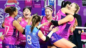 Klasemen Voli Korea: Pink Spiders Jauhi Red Sparks Usai Gilas Hi Pass