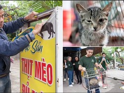 Restoran Vietnam yang Sajikan Sup Daging Kucing Akhirnya Resmi Ditutup