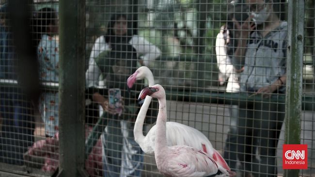 Tiket masuk Ragunan yang terbilang murah dengan fasilitas menarik menjadikan tempat ini pilihan rekreasi pilihan oleh banyak orang.
