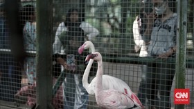 Ragunan: Lokasi, Jam Buka, Fasilitas, dan Tiket Masuk Terbaru