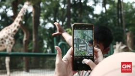 Jadwal Buka Ragunan dan Ancol Saat Libur Lebaran