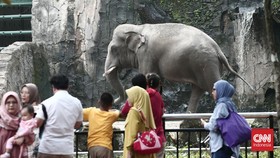 Libur Satwa, Taman Margasatwa Ragunan Tutup Besok