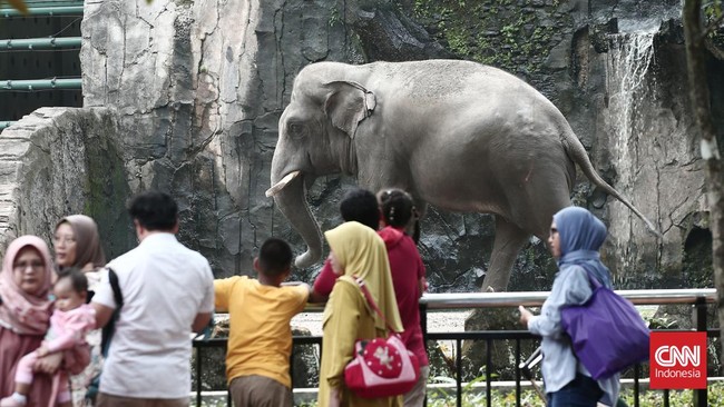Taman Margasatwa Ragunan (TMR) akan ditutup untuk umum karena libur satwa pada Selasa (2/1).