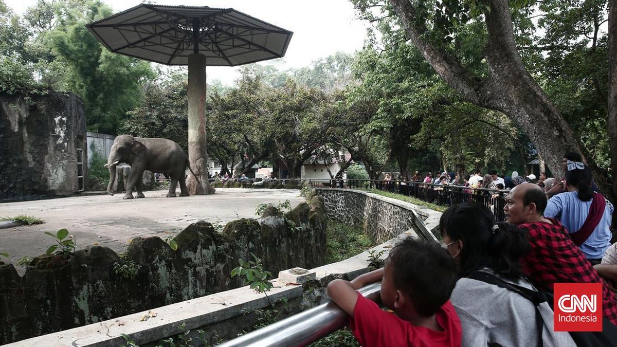 Wisata Malam Ragunan Buka Hari Ini, Catat Jadwal dan Harga Tiketnya
