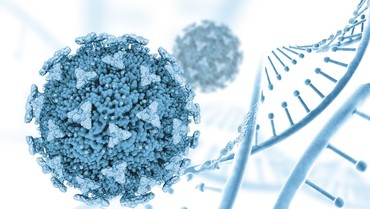 img-title Warga Israel Terancam Terinfeksi Virus Mematikan