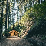 4 Rekomendasi Tempat Camping di Bandung yang Cocok untuk Wisata 'Healing'