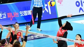 Megawati Paling Sering Bobol Pink Spiders di Liga Voli Korea