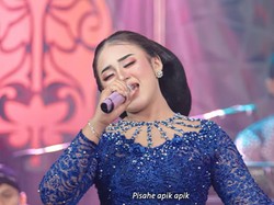 Lirik Lagu Apik Versi Campursari Niken Salindry